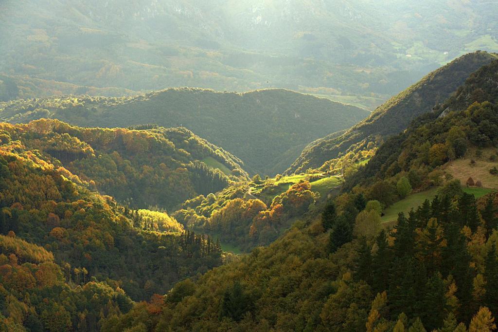 Hostal Rural Elosta เลคุนเบร์รี ภายนอก รูปภาพ