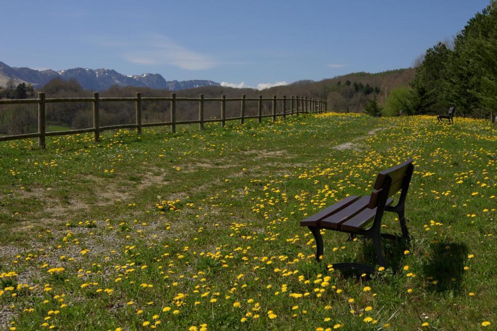 Hostal Rural Elosta เลคุนเบร์รี ภายนอก รูปภาพ