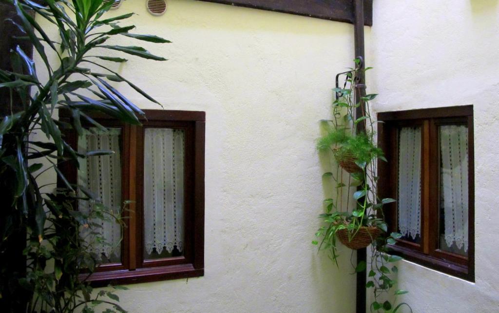 Hostal Rural Elosta เลคุนเบร์รี ภายนอก รูปภาพ