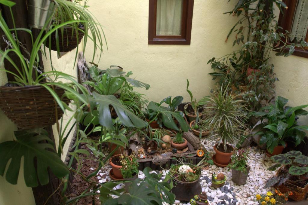 Hostal Rural Elosta เลคุนเบร์รี ภายนอก รูปภาพ